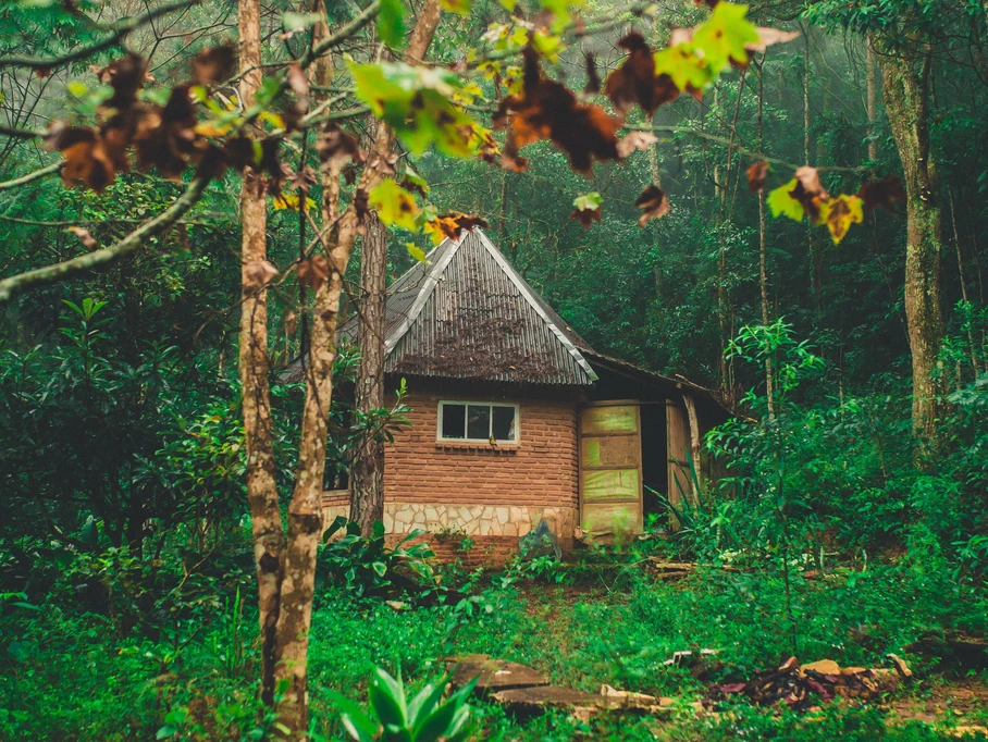 	Why Green Homes are the Future 