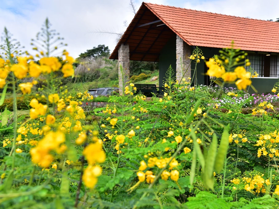 	Benefits of Living Close to Nature 