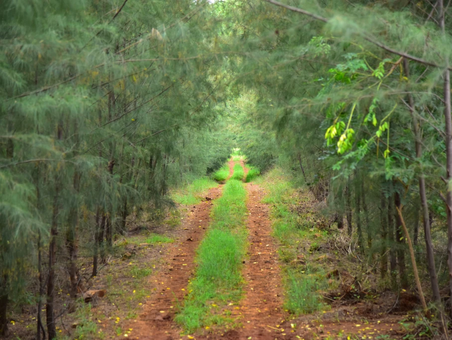 	7 Reasons to Swap the City Life and Own a Farm 