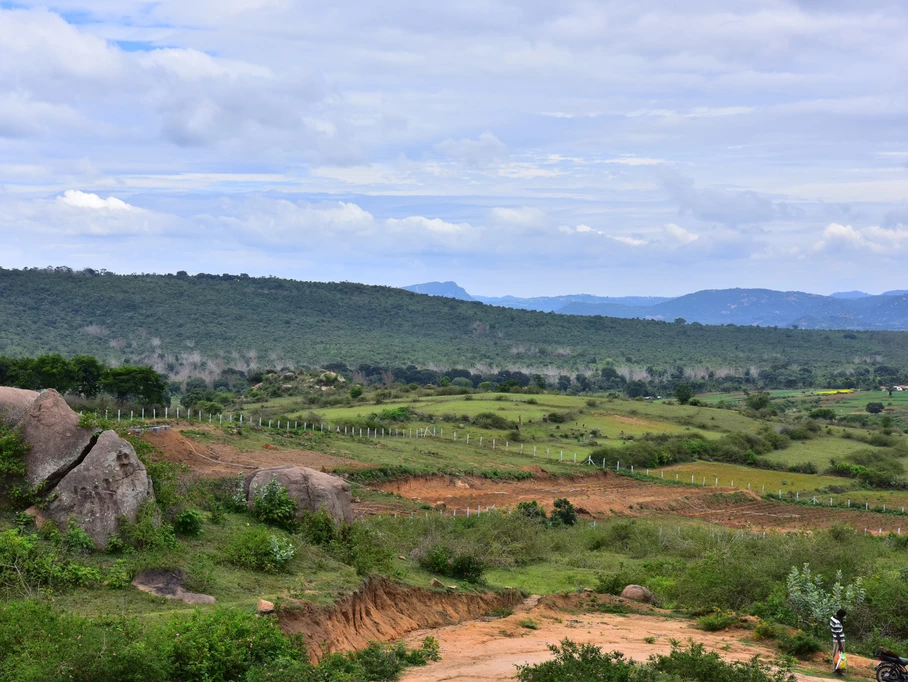 	Go Green, Adopt Farm Living 
