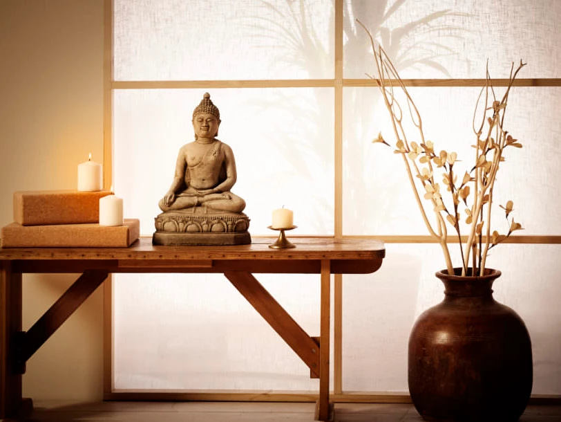 	Experience Meditation and Farm Living as New Dimension 